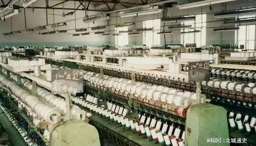 新晉中國女首富的財富密碼 剖析“年營收7800億，超華為成最大民企”背后的電信業務版圖